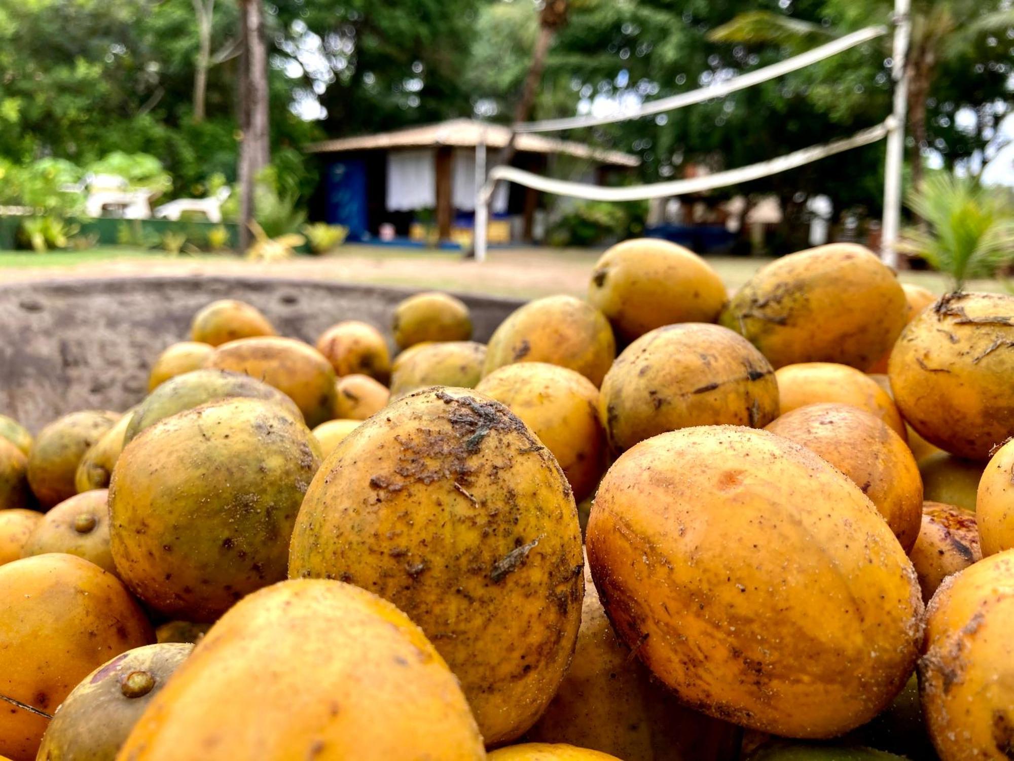 Pousada Velas E Vento - Barra Grande, Taipu De Fora, Marau バーラ・グランデ エクステリア 写真