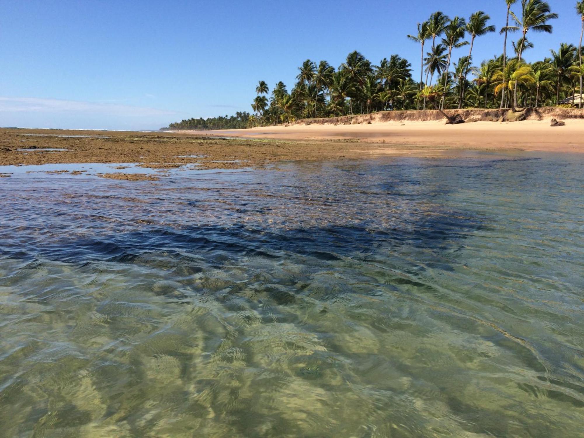 Pousada Velas E Vento - Barra Grande, Taipu De Fora, Marau バーラ・グランデ エクステリア 写真